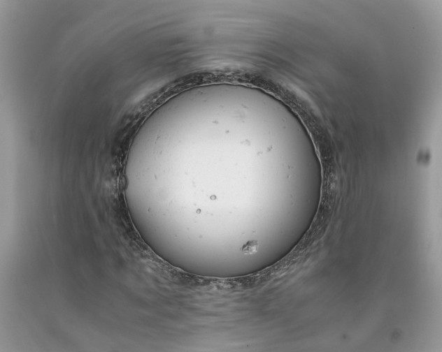 X0000091660869200709061018