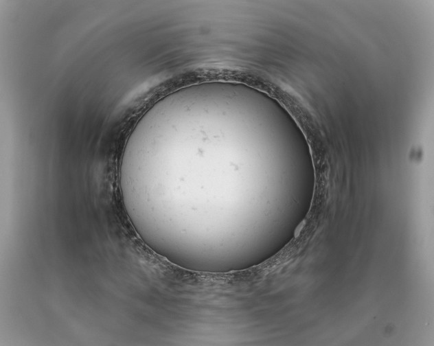 X0000091660870200709061018