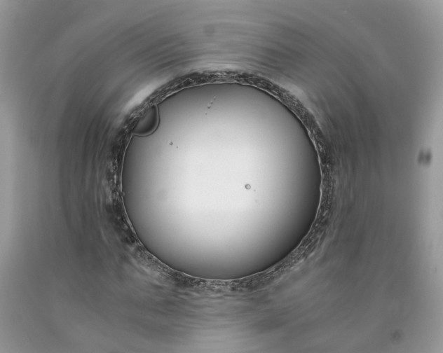 X0000091660871200709061018