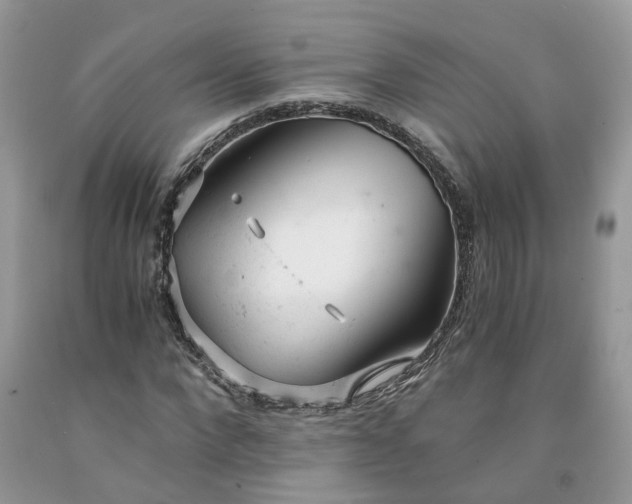 X0000091660872200709061018