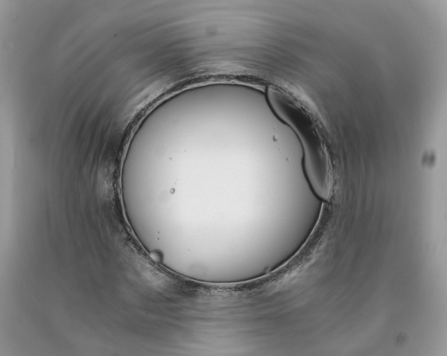 X0000091660873200709061018