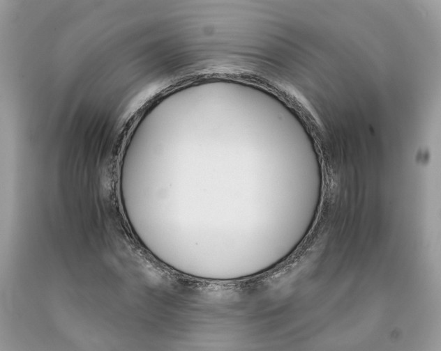 X0000091660874200709061018