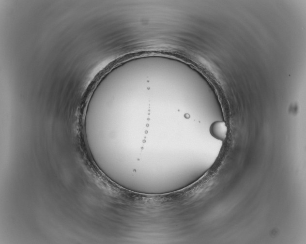 X0000091660875200709061018