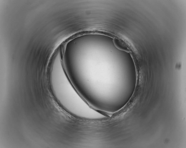 X0000091660876200709061018