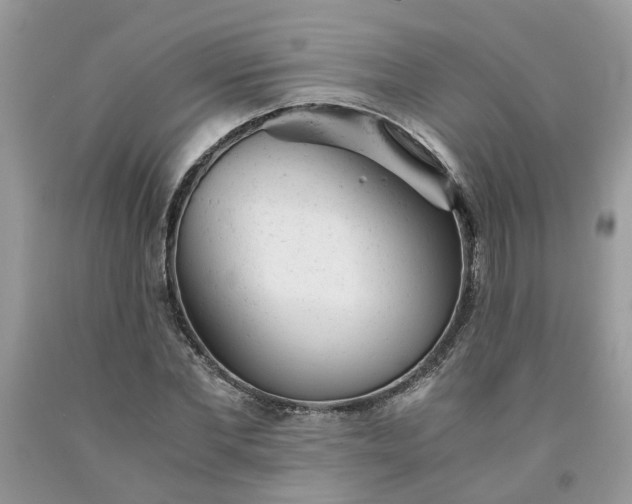 X0000091660877200709061018