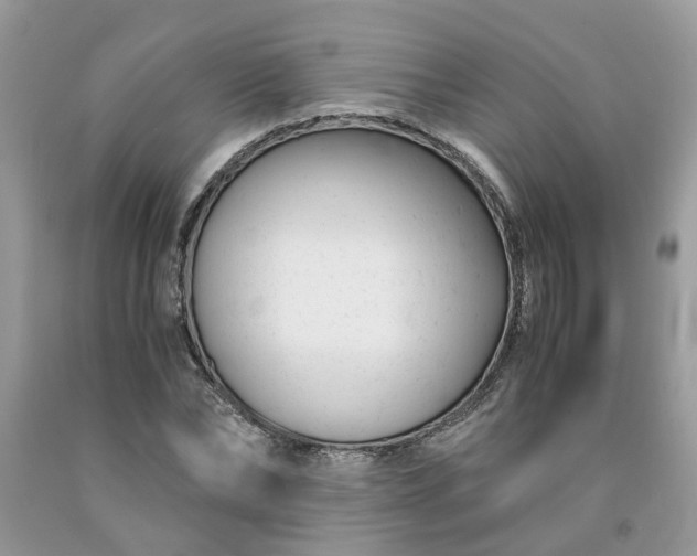 X0000091660878200709061018