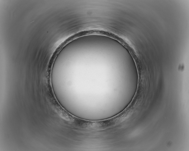 X0000091660879200709061018