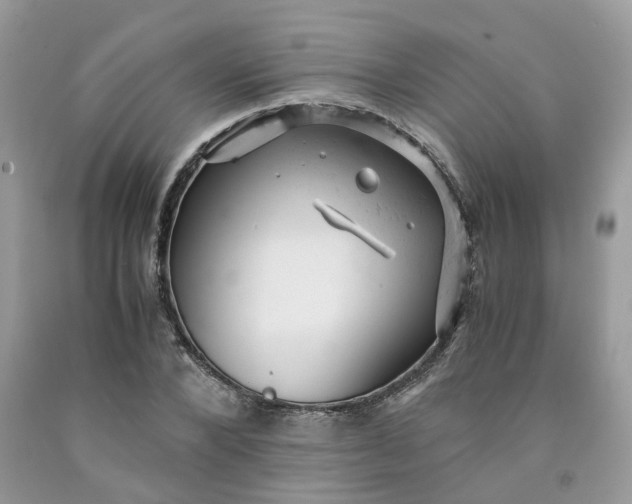 X0000091660880200709061018