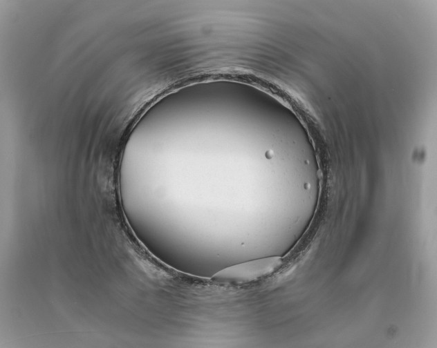 X0000091660881200709061018