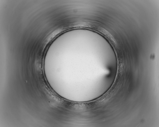 X0000091660882200709061018