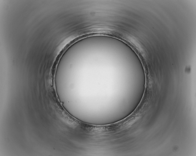 X0000091660883200709061018