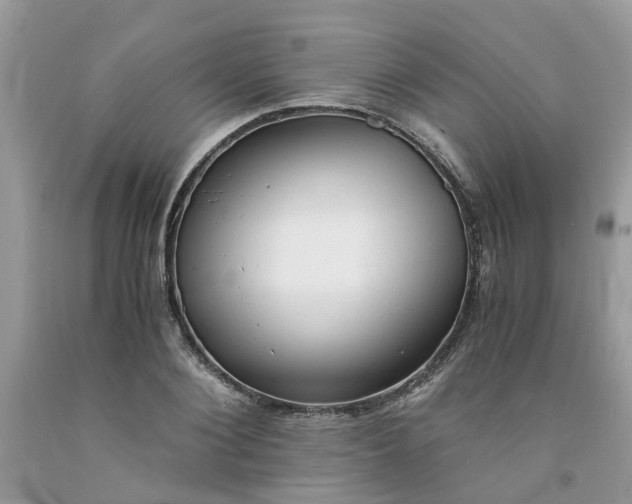 X0000091660884200709061018