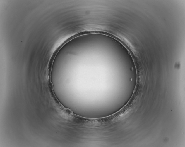 X0000091660885200709061018