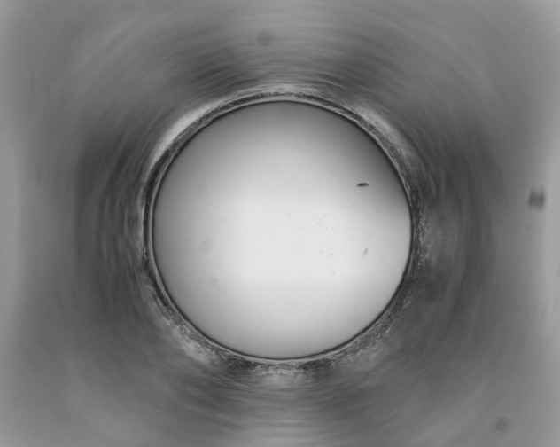 X0000091660886200709061018