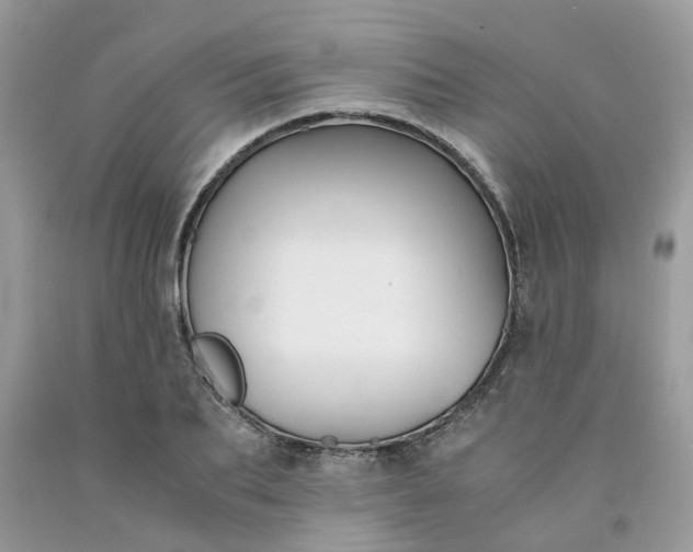 X0000091660887200709061018