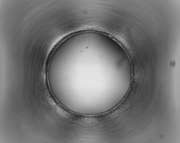 X0000091660888200709061018