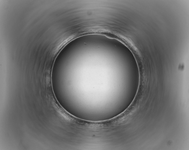 X0000091660889200709061018