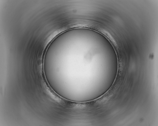 X0000091660890200709061018