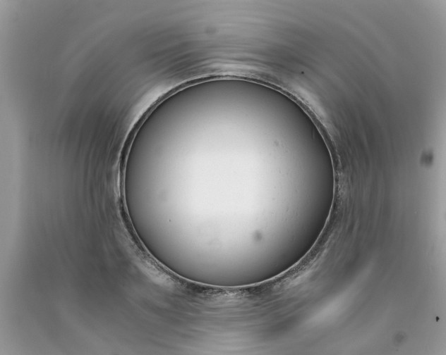 X0000091660891200709061018