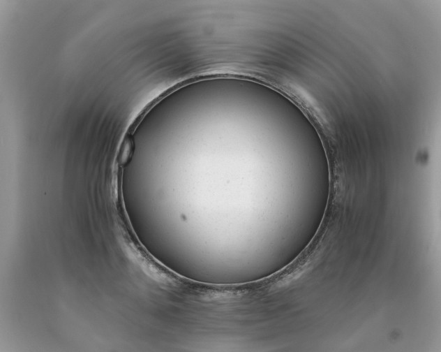 X0000091660892200709061018