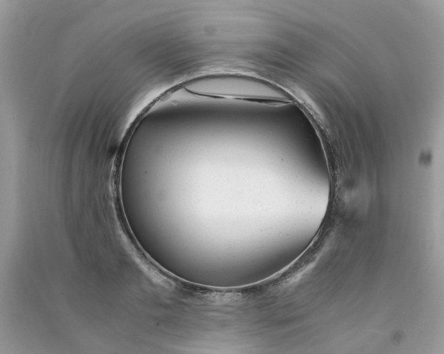 X0000091660893200709061018