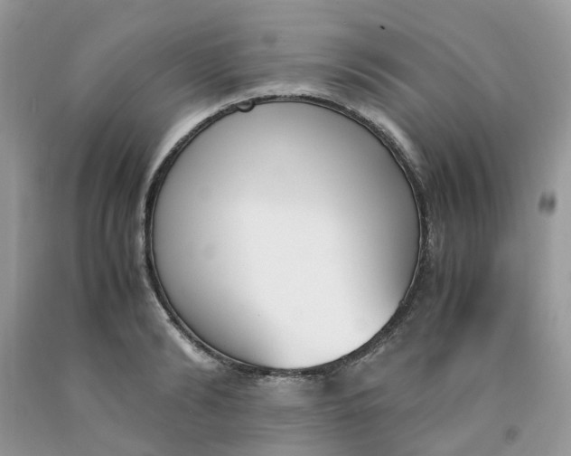 X0000091660894200709061018