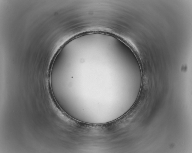 X0000091660895200709061018