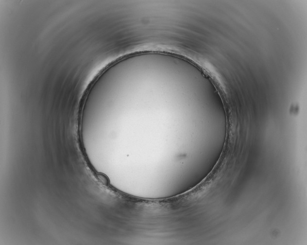 X0000091660896200709061018