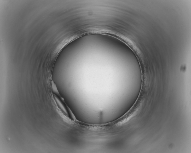 X0000091660897200709061018