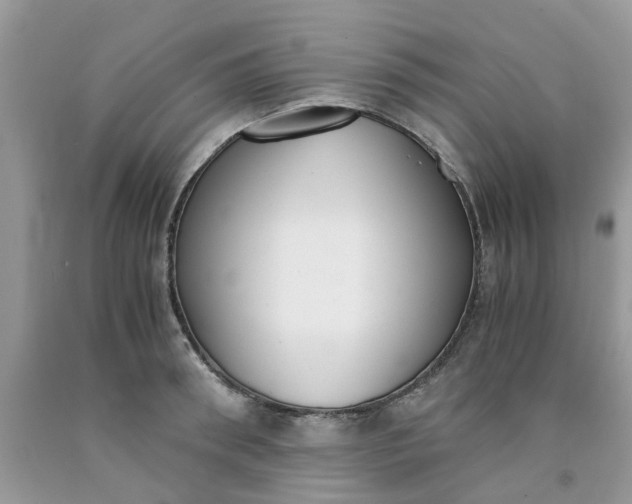 X0000091660898200709061018