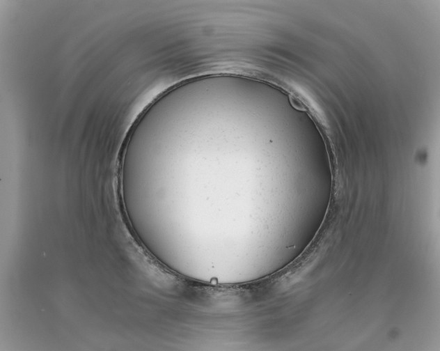 X0000091660899200709061018