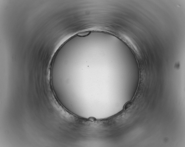 X0000091660900200709061018