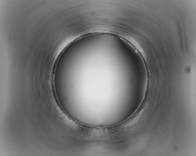 X0000091660901200709061018