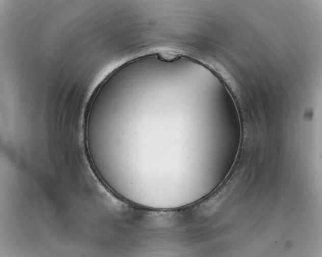 X0000091660902200709061018