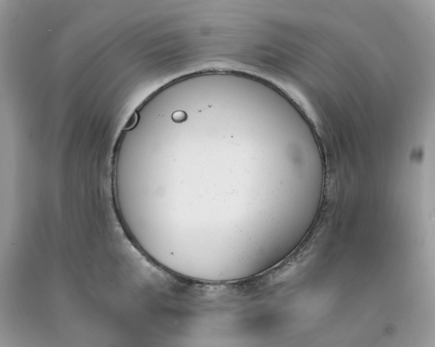 X0000091660903200709061018