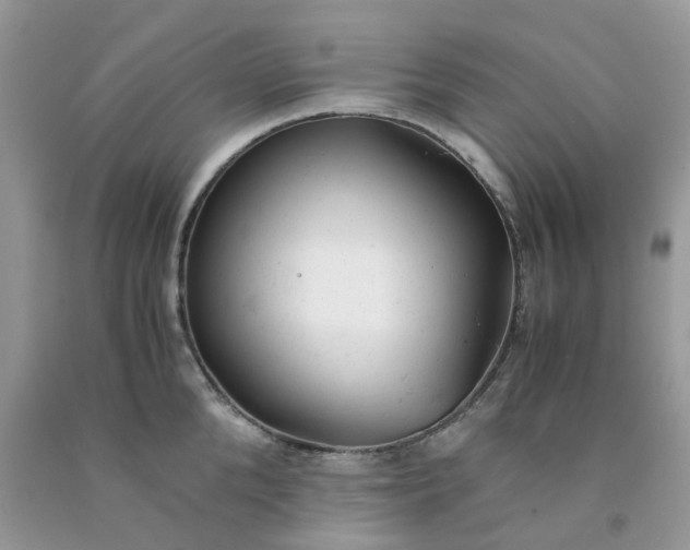 X0000091660904200709061018