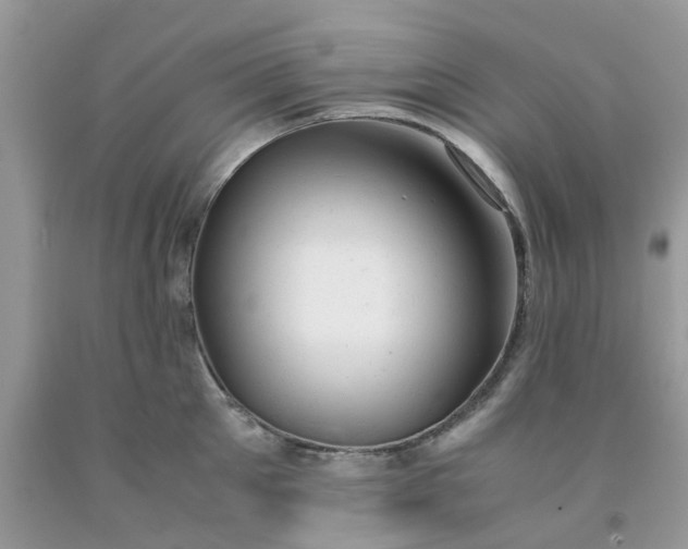 X0000091660905200709061018