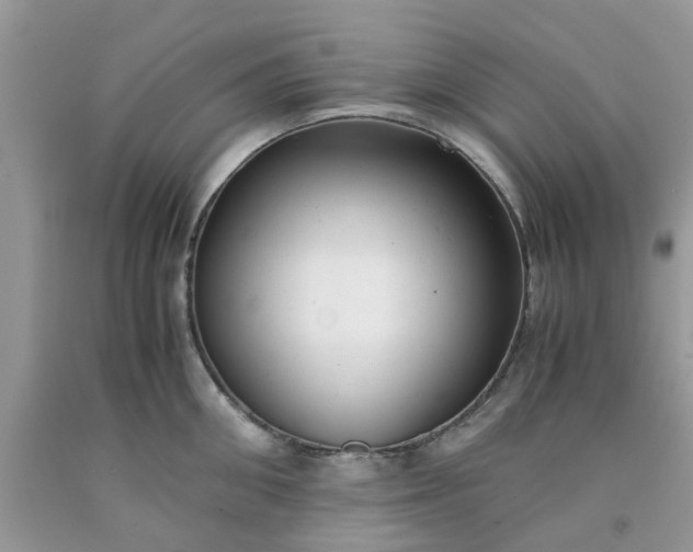 X0000091660906200709061018