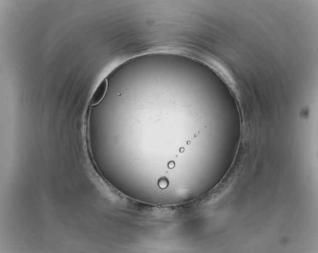 X0000091660907200709061018