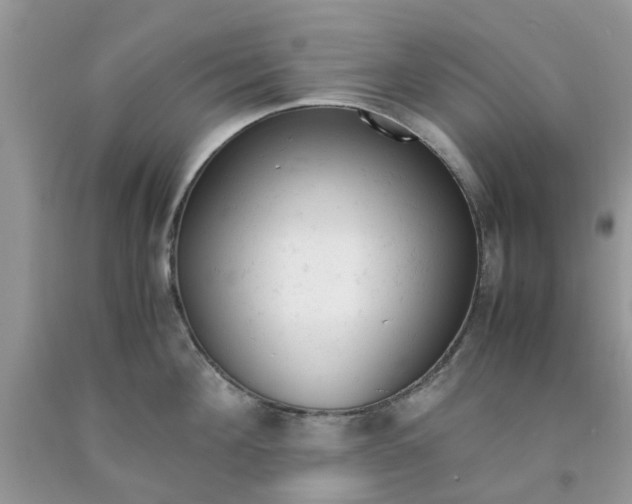 X0000091660908200709061018