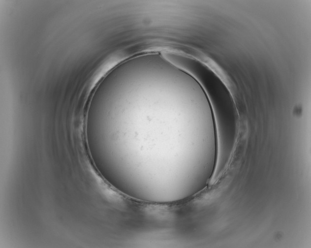 X0000091660909200709061018