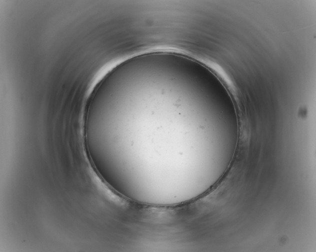 X0000091660910200709061018