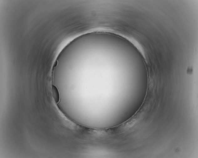 X0000091660911200709061018