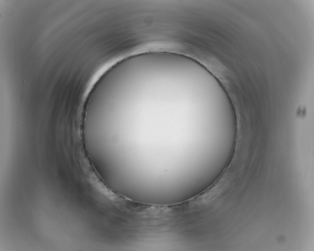 X0000091660912200709061018