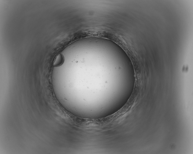 X0000091660913200709061017