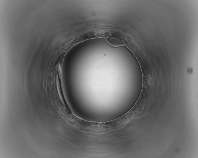 X0000091660914200709061017