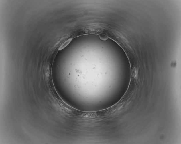 X0000091660915200709061017