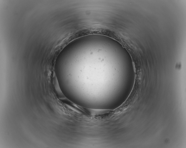 X0000091660916200709061017