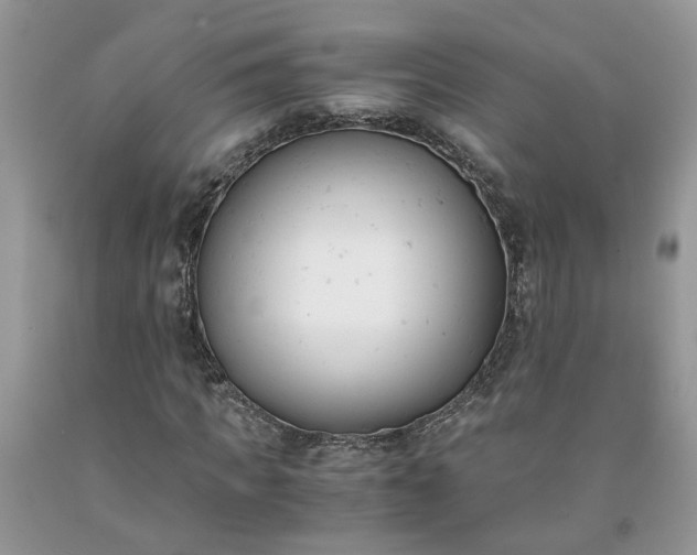 X0000091660917200709061017