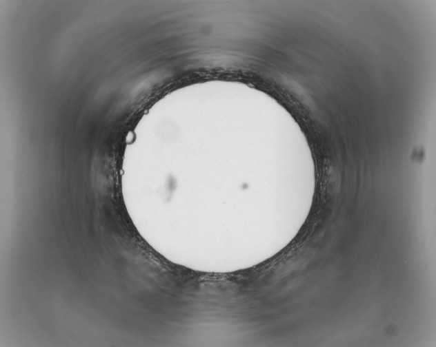 X0000091660918200709061017